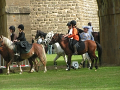 REMPARTS LONGWY 2008 089